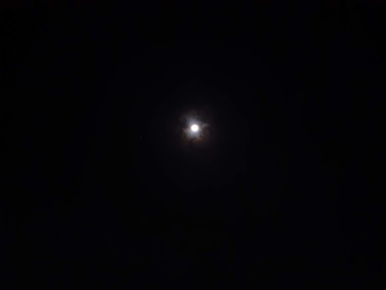 luna6.jpg