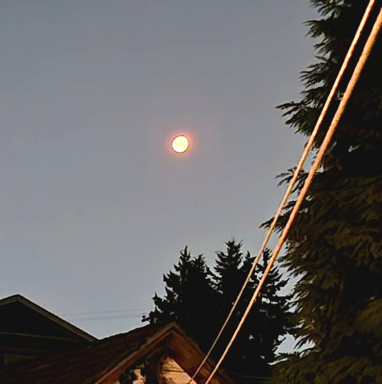 20250905_011307.jpg