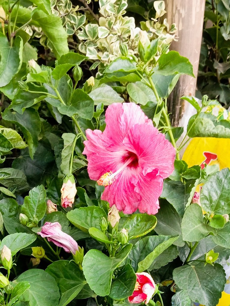 C3TZR1g81UNbFzApDTmvFatkwuDREJFVGiTUu9HXAFnQ8j5vt7iTFCNK4zZGMj9JpGoVMMTMw3cg7ghwQNjVzugAJxbMj1ouq6NB3dFTmXNnMFrfc7VTJpE.jpeg