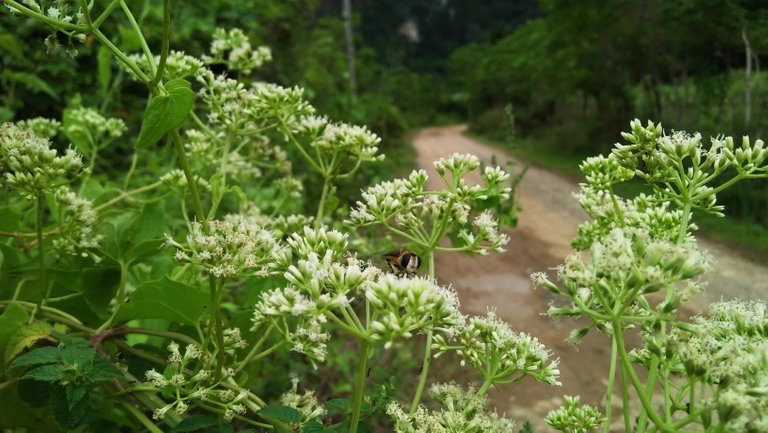 IMG20201110144903.jpg