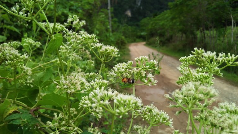IMG20201110144901.jpg
