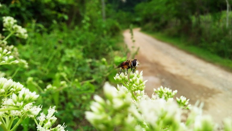 IMG20201110144919.jpg