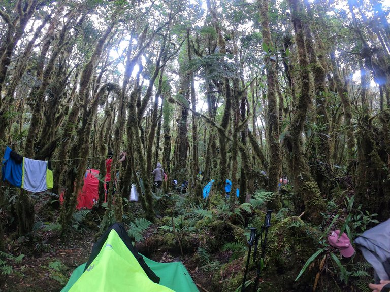Sanggaya/Bamboo Camp