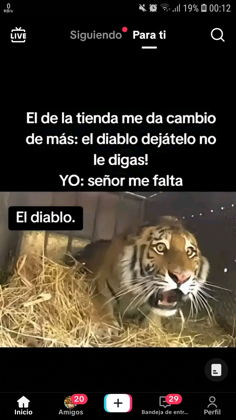 Screenshot_20250411-001235_TikTok.jpg
