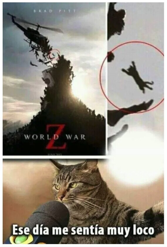 CC_2803356_9ba6628e3bd3467eb37c90a291ba3ef6_meme_otros_el_gato_de_world_war_z.jpg