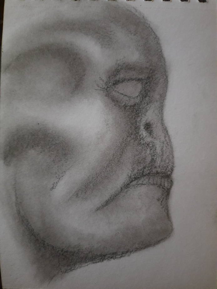 20250603_110131.jpg