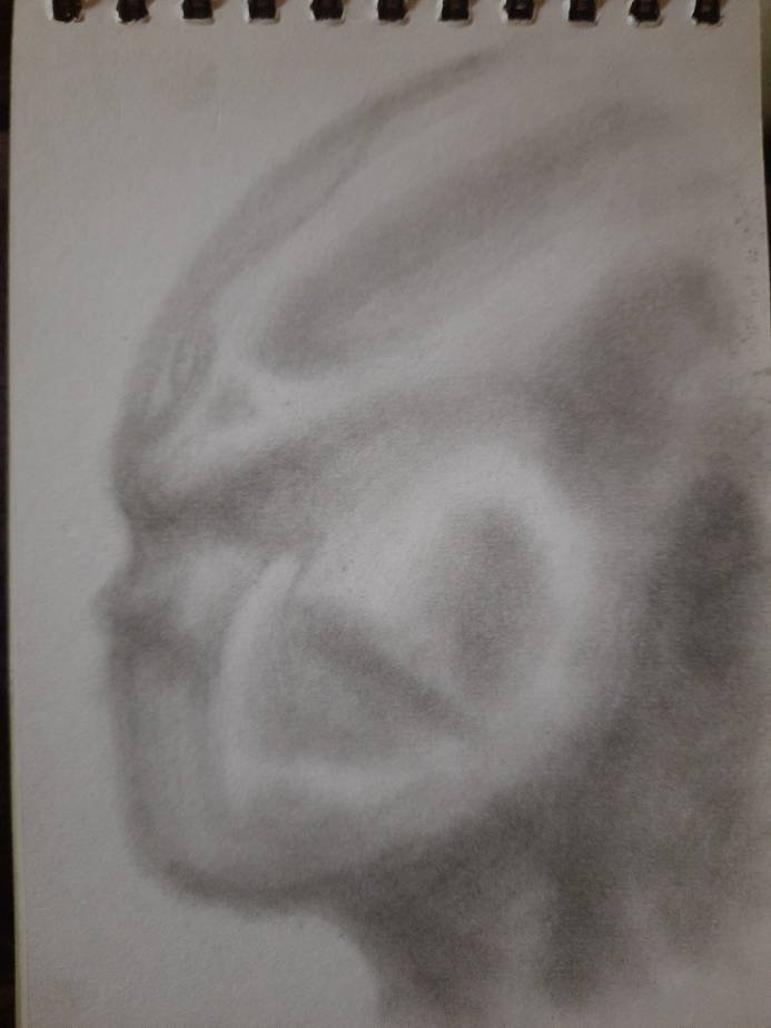 20240428_105738.jpg