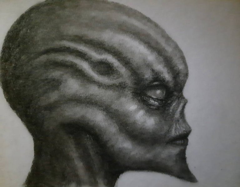 20240913_111007.jpg