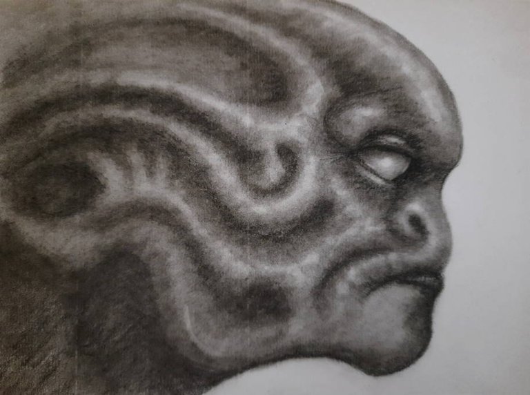20250625_113436.jpg