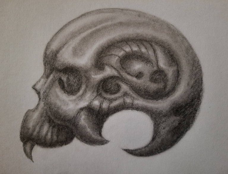 skull.JPG