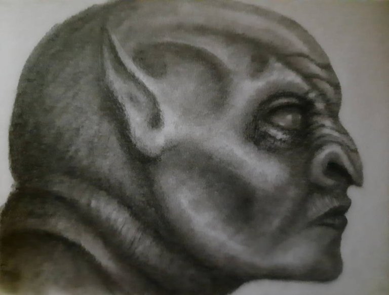 20240819_115716.jpg