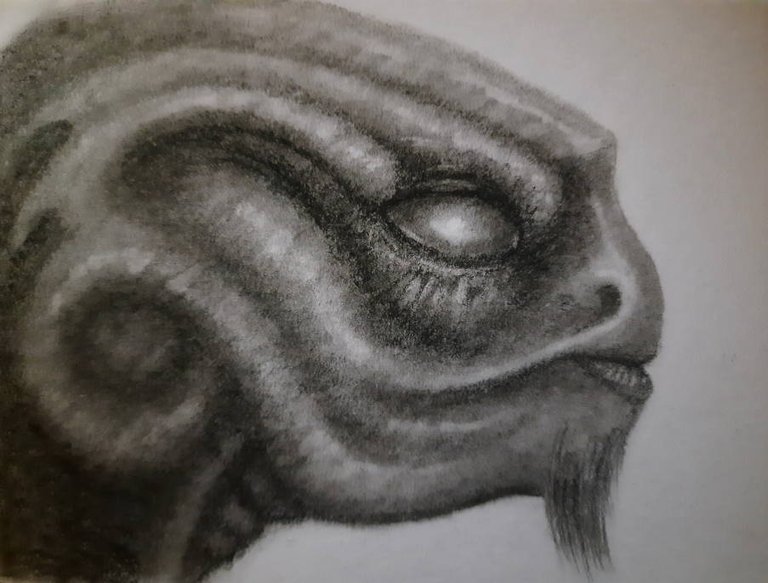 20240710_114905.jpg