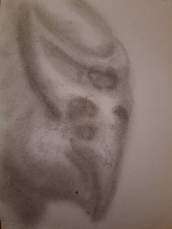 20250502_105304.jpg