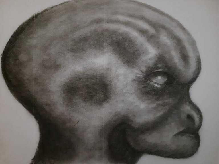 20250630_114214.jpg
