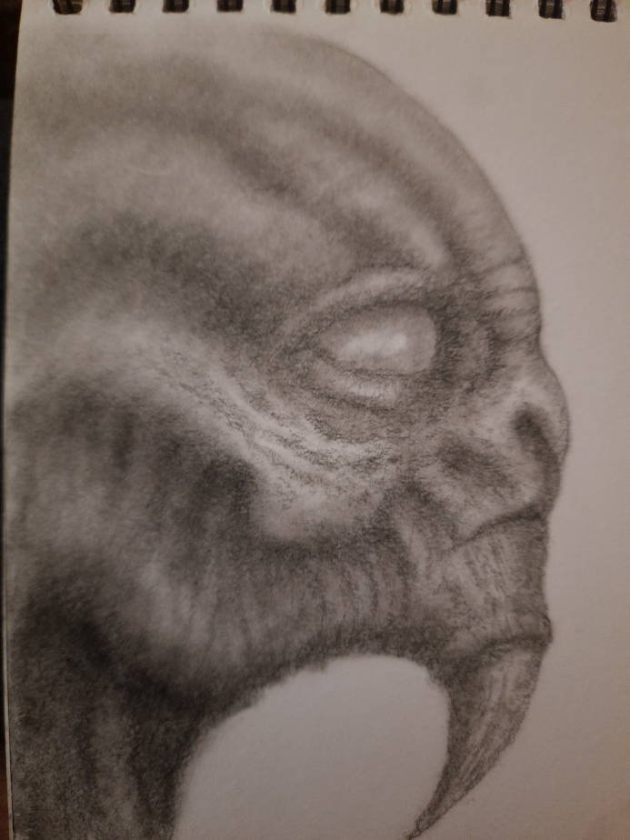 20240814_120849.jpg