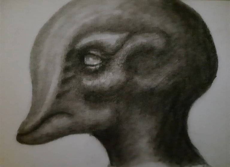 20250616_110903.jpg