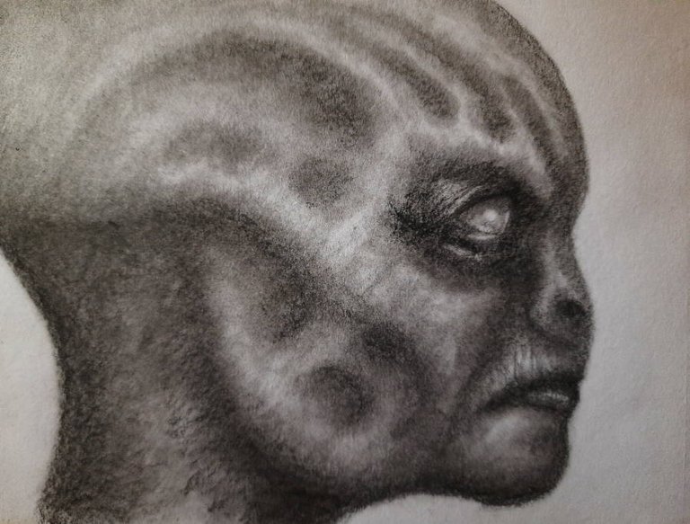 20250414_114452.jpg
