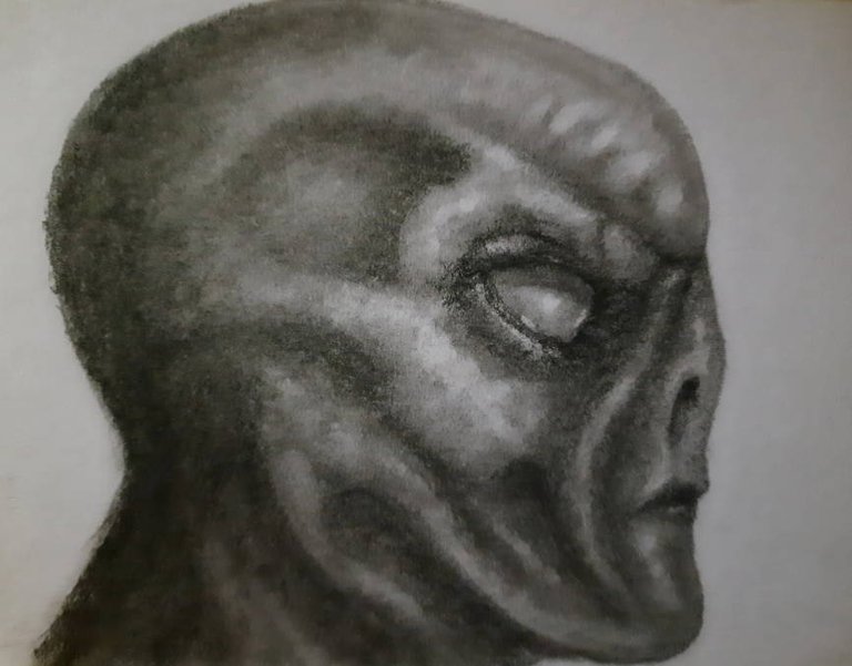 20240930_113950.jpg