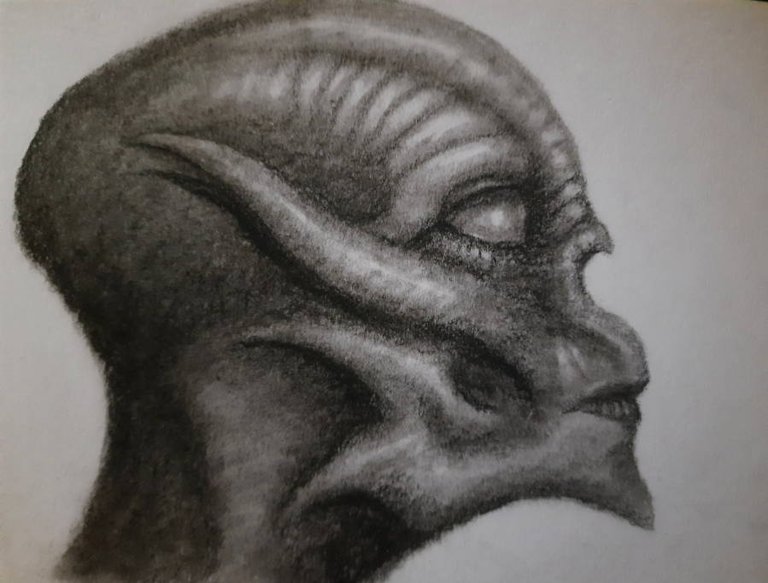 20240727_115705.jpg