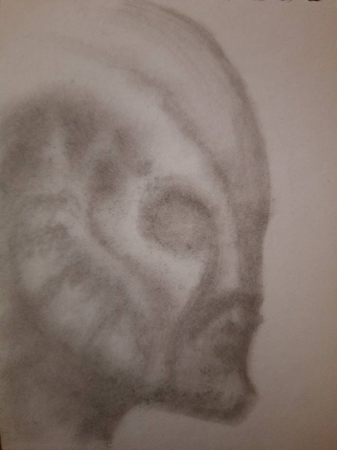 20250506_105041.jpg