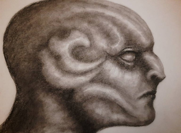 20250717_105650.jpg