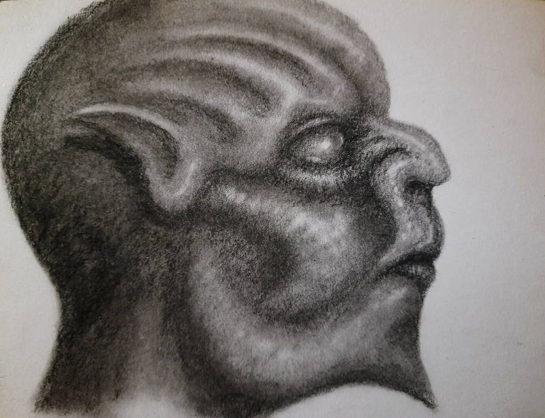 20240718_115300.jpg