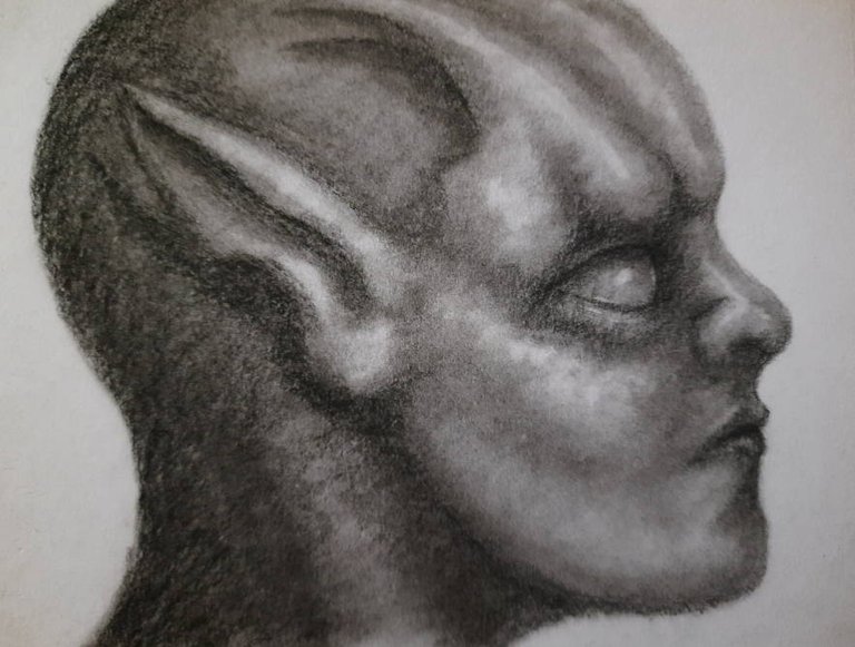 20241002_120456.jpg
