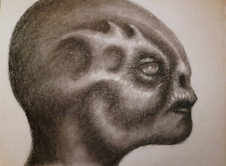 20250519_114008.jpg