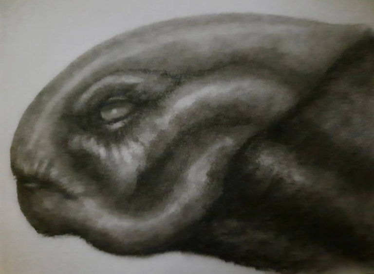 20250714_112425.jpg