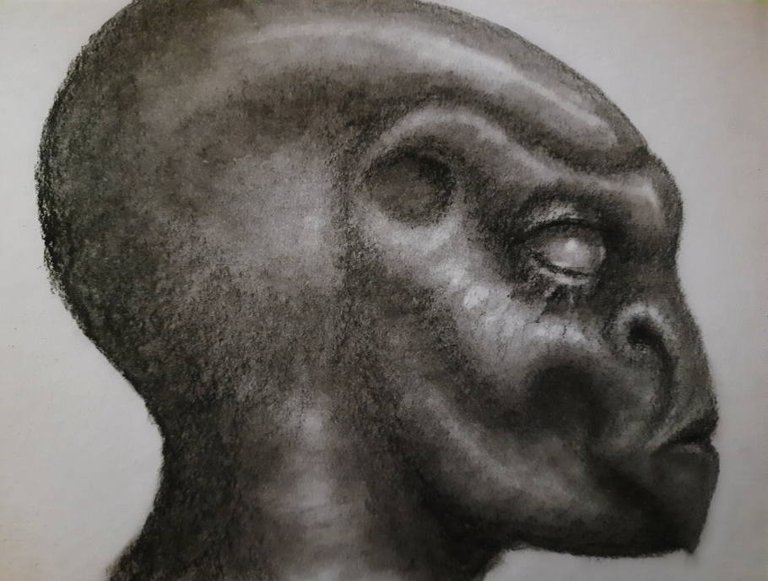 20250528_112156.jpg