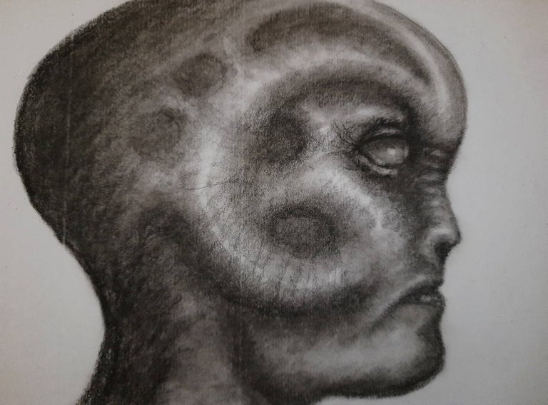 20250629_100946.jpg