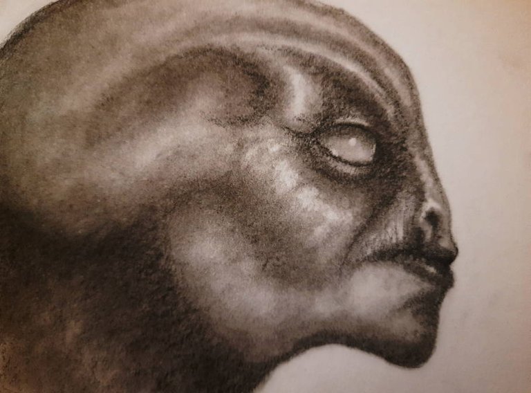 20250520_113008.jpg