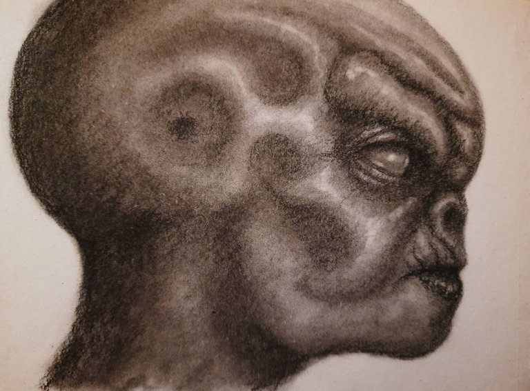 20250509_113821.jpg