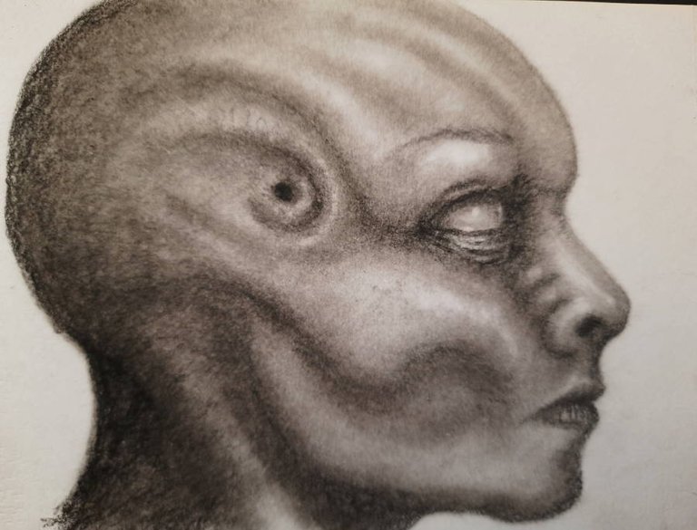 20240916_113742.jpg