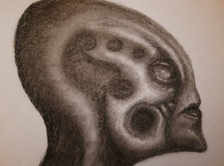 20250516_112910.jpg