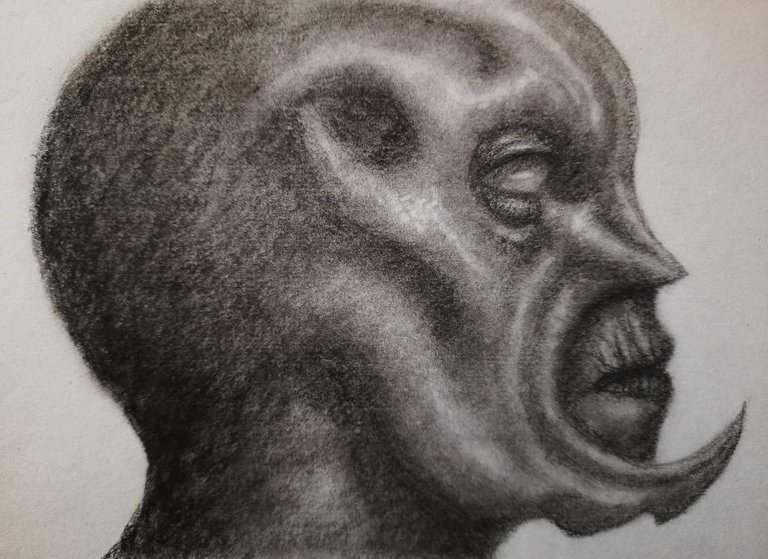 20250226_113923.jpg