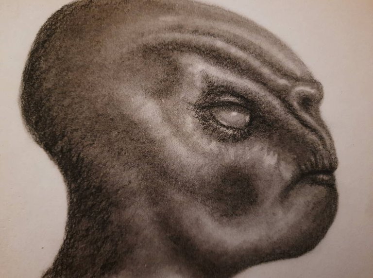 20250517_114245.jpg