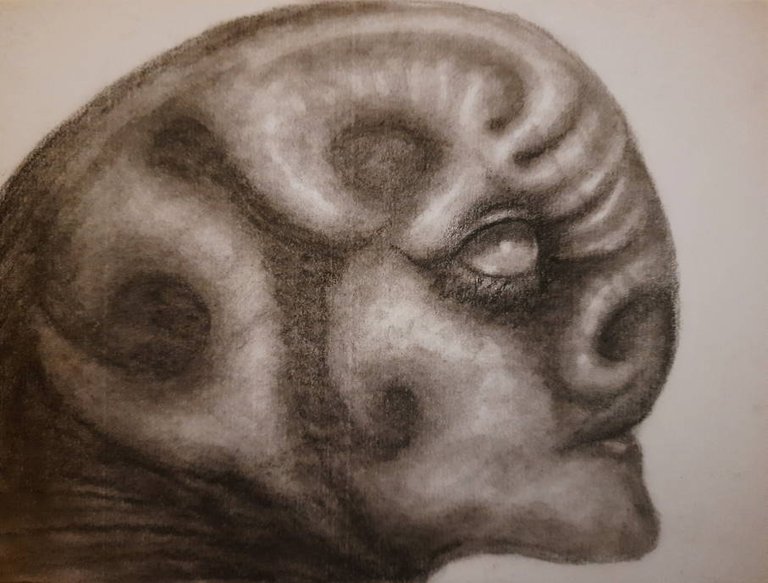 20250711_112046.jpg
