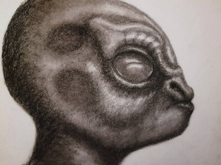 20250515_105040.jpg