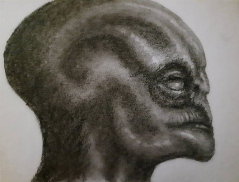 20250531_113410.jpg