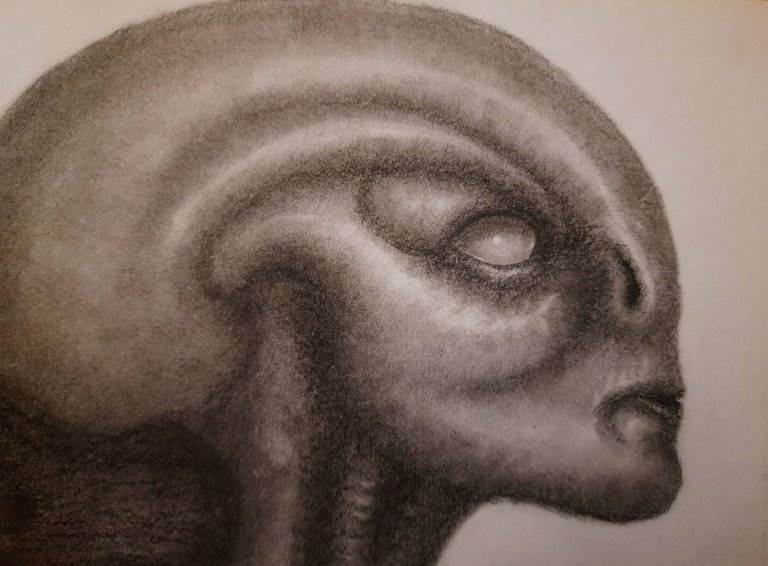 20250522_114405.jpg