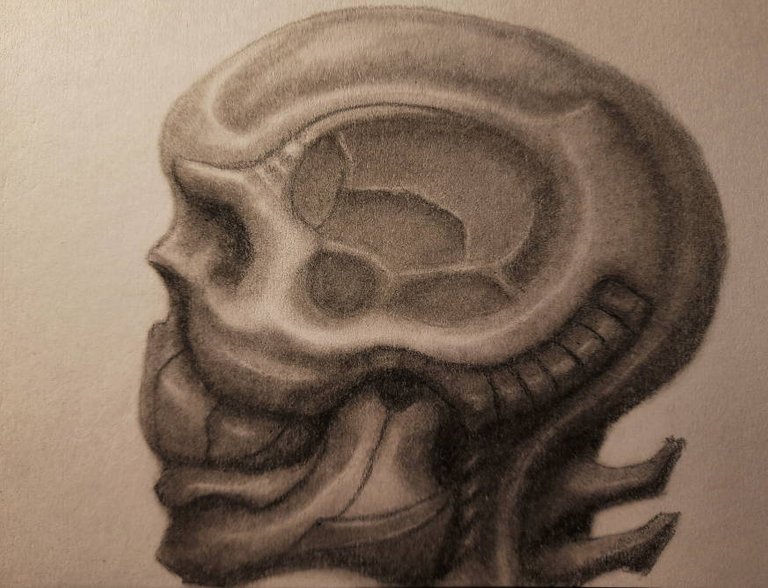 cyborg skull.JPG