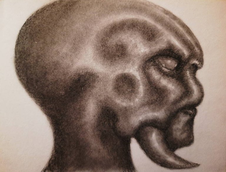 20250505_114853.jpg
