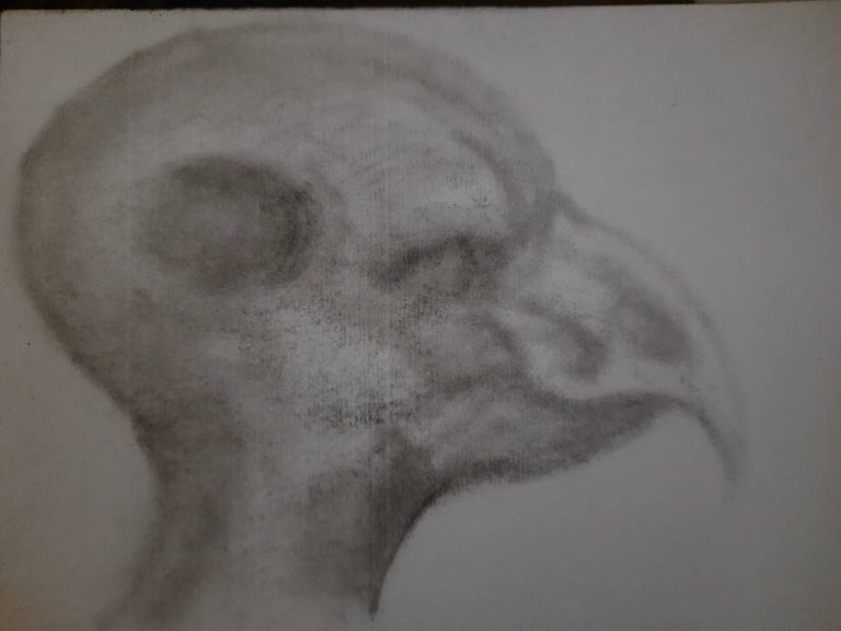 20250705_103846.jpg