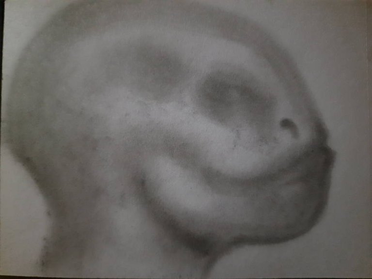 20250529_105053.jpg