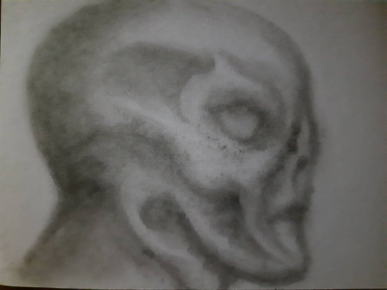 20240930_110859.jpg
