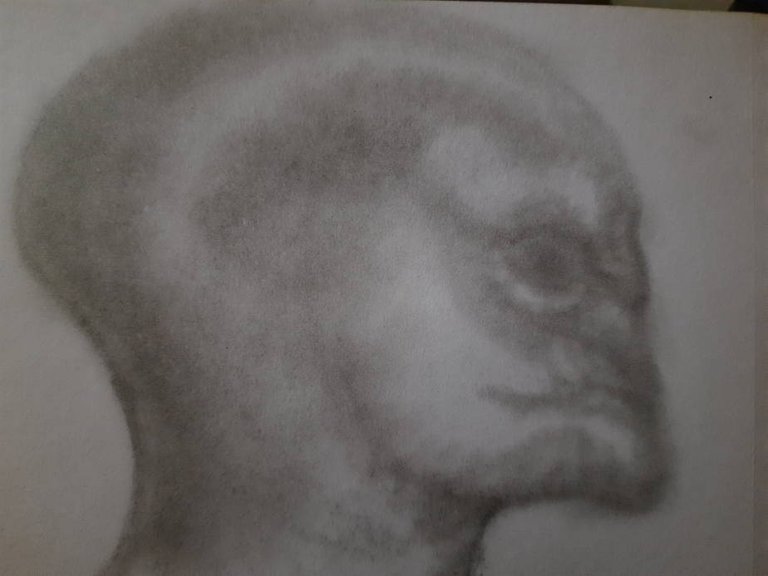 20250531_105447.jpg