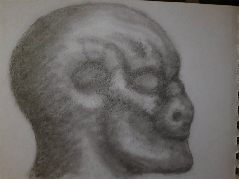 20241006_100728.jpg