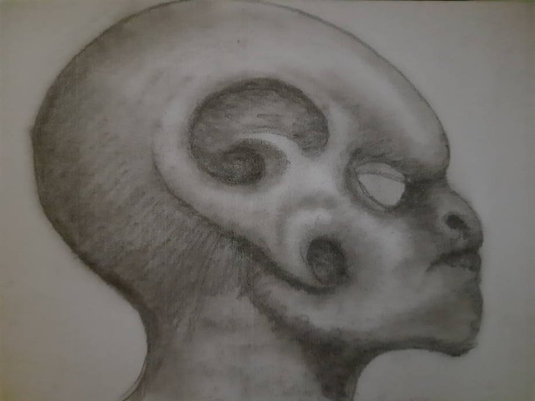 20250627_102435.jpg