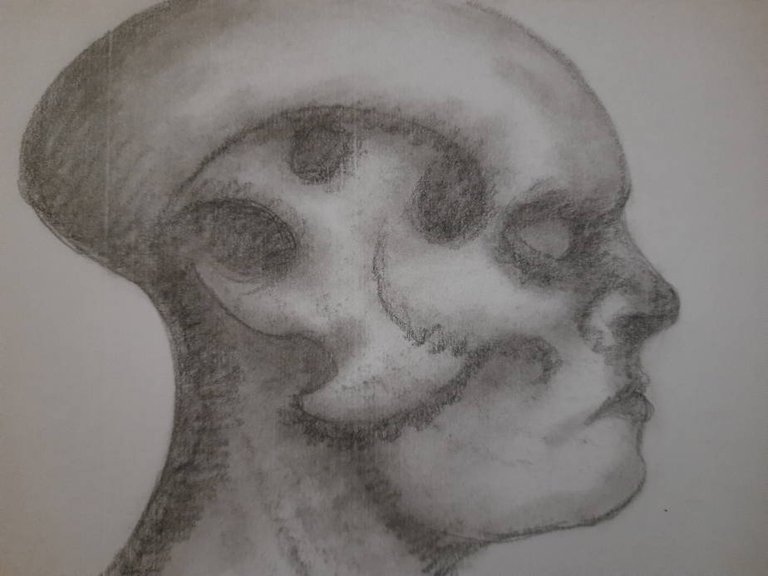20250706_094012.jpg